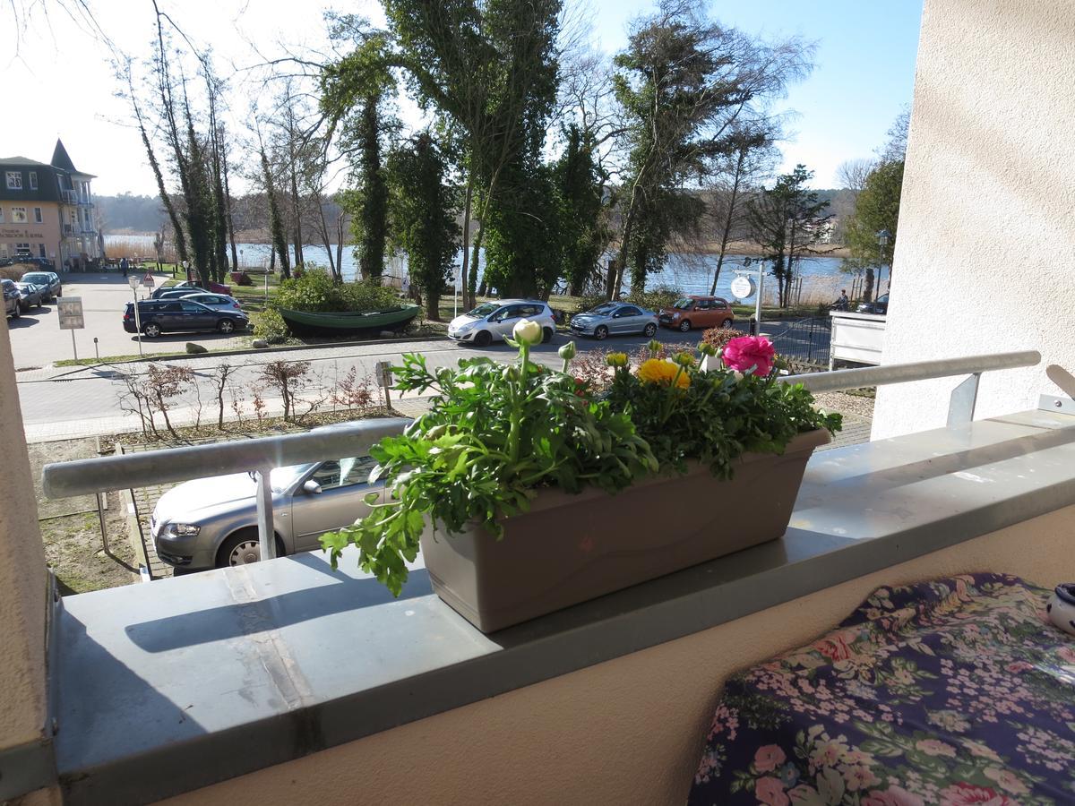 Neue Villa Ernst - Ferienwohnung 3 Heringsdorf  Eksteriør bilde